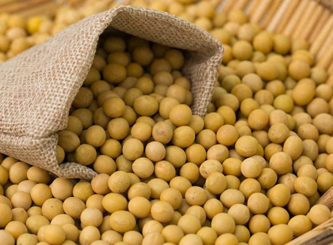 信用平台出租_中方终于出手信用平台出租，40艘巨轮开往中国，美国担心的事还是来了