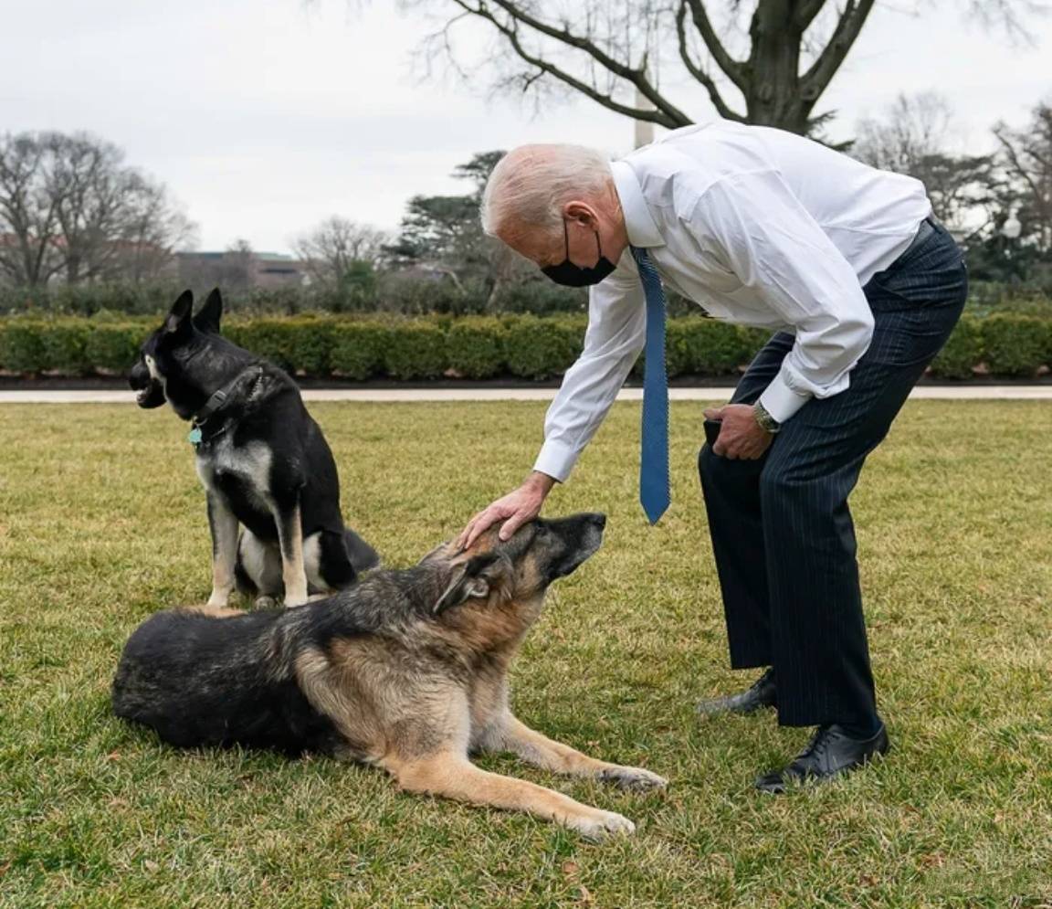 怎么注册皇冠信用代理
_新加坡劝中国放弃自给自足怎么注册皇冠信用代理
,称美国还有绝招!这个印度裔总统,对华不怀好意