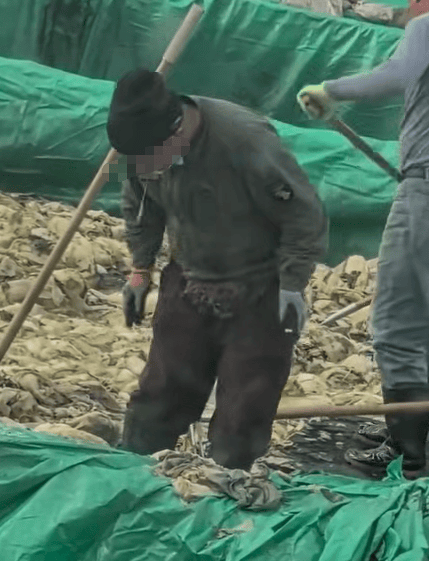 皇冠信用網出租足球_辽宁葫芦岛一男子酸菜池中抽烟吐痰皇冠信用網出租足球，曝光视频令人反胃！省市两级市监介入