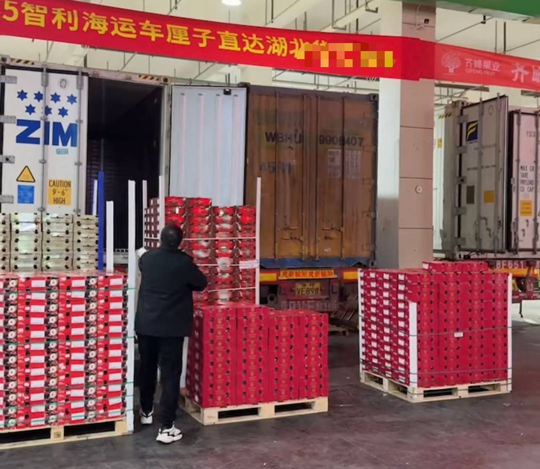 皇冠信用網登2代理_武汉第一波智利车厘子从1700元每件降至800元皇冠信用網登2代理，有批发果商每天卖出1千斤，回应：主要流向高端客户