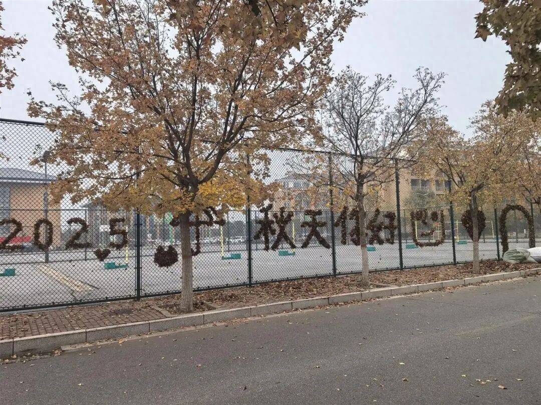 买球的正规网站_河南一医学院学生用落叶在篮球场铁网上插出心肝肺胃、注射器等图案买球的正规网站，学校：秋日限定浪漫
