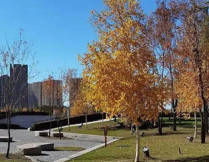 皇冠信用網登123出租_气温“断崖跌”皇冠信用網登123出租！16日起哈尔滨迎雨雪大风 保暖防滑要记牢