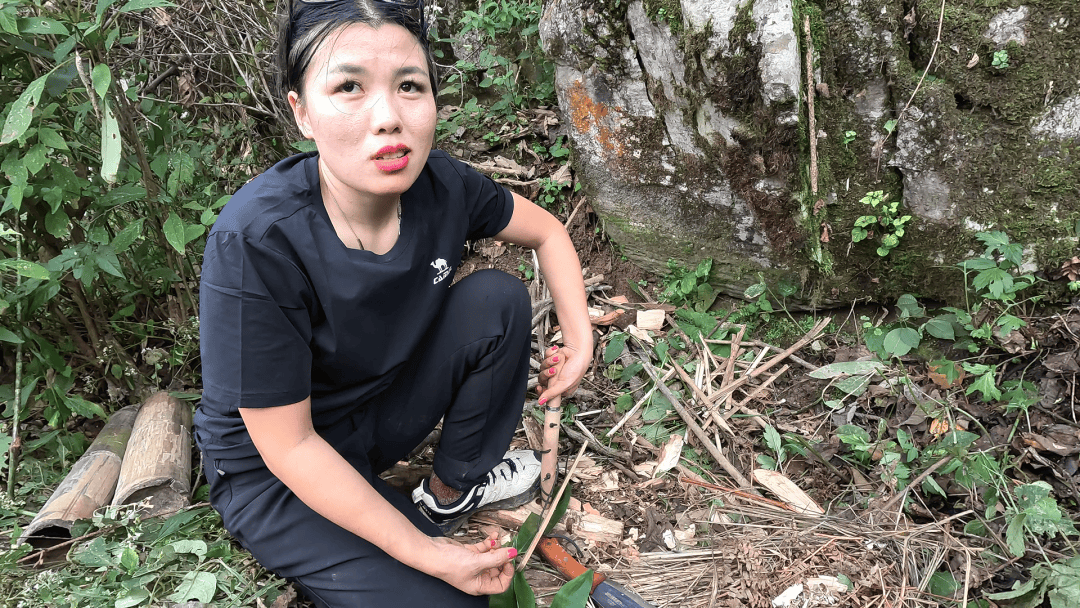 皇冠信用網在线开户_七星山“荒野求生”爆火皇冠信用網在线开户！安全怎么保障？景区最新回应→