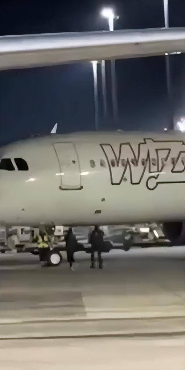 皇冠信用网代理注册_在德国错过登机皇冠信用网代理注册，两男子神操作：跑上停机坪挥手拦截滑行飞机