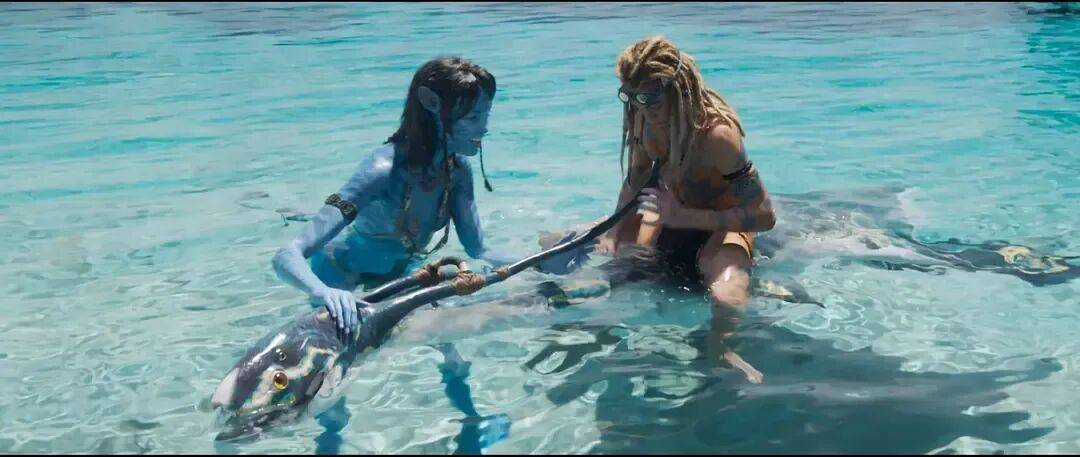 信用平台出租_仿佛又看了一遍《阿凡达2》…票房口碑不及前作的《阿凡达3》真审美疲劳了吗信用平台出租?