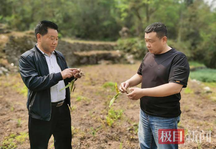 信用盘怎么注册_放弃几十万年收入返乡信用盘怎么注册，“倒贴钱”买车作公用，53岁“吉普书记”突然离世，200余民众自发送别